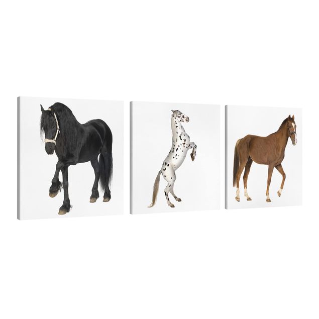 Contemporary art prints Three Horses Trio