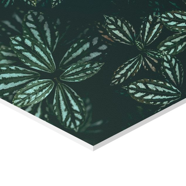 Prints green Leaves Trio