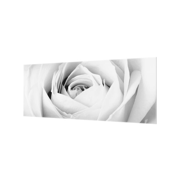 Glass Splashback - Close Up Rose - Panoramic