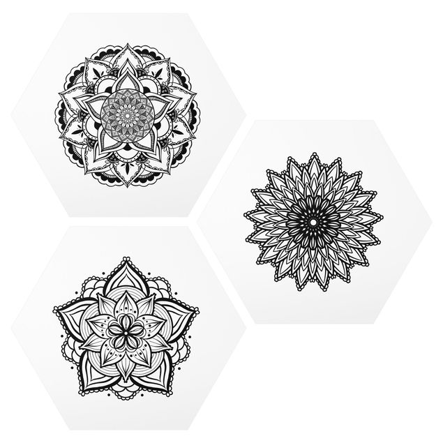 Prints patterns Mandala Flower Sun Illustration Set Black And White