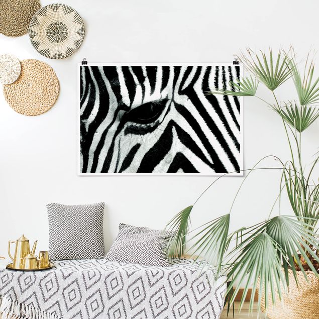 Zebra canvas Zebra Crossing
