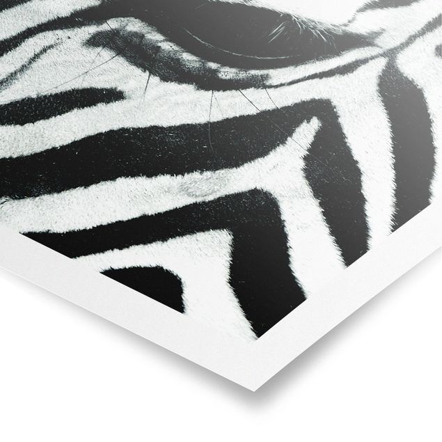 Contemporary art prints Zebra Crossing No.3
