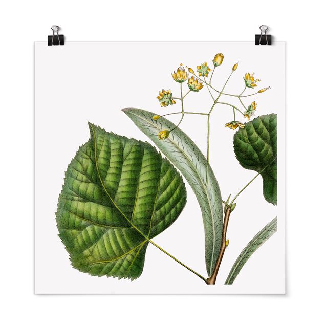 Floral canvas Foliage With Flowers I