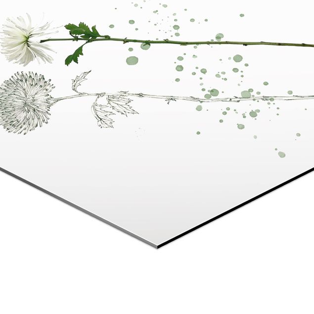 Hexagonal prints Botanical Watercolour - Dandelion