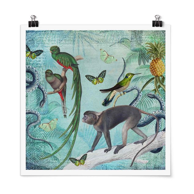 Art posters Colonial Style Collage - Monkeys And Birds Of Paradise