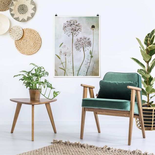 Vintage posters Allium flowers in pastel