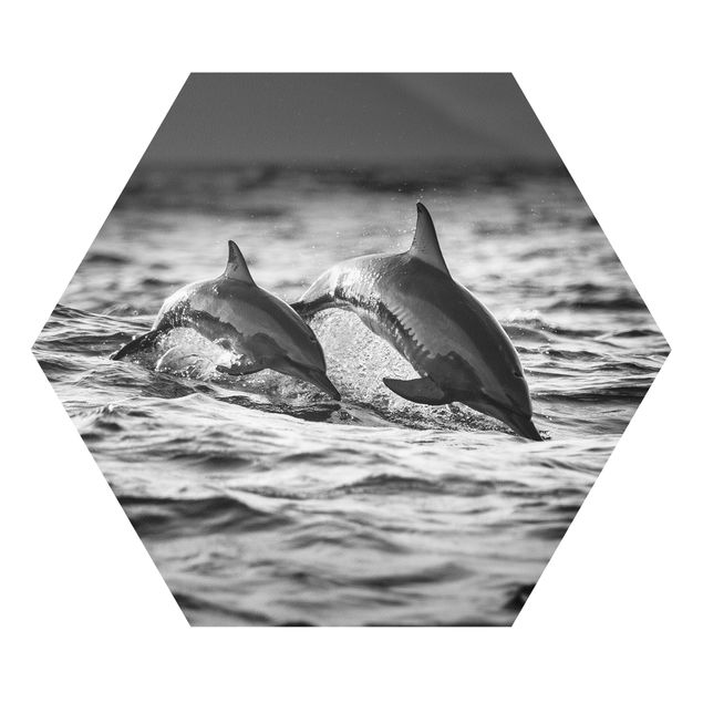 Forex prints Two Jumping Dolphins