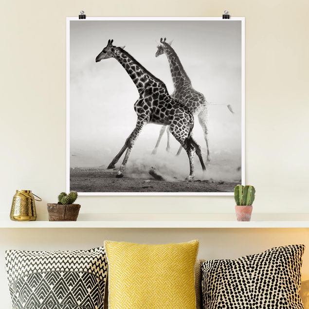 Giraffe canvas Giraffe Hunt