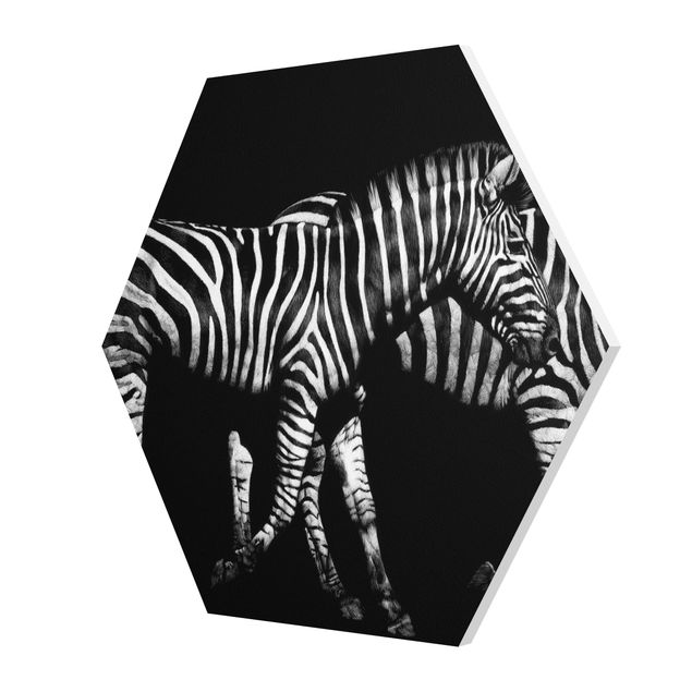 Black and white wall art Zebra In The Dark
