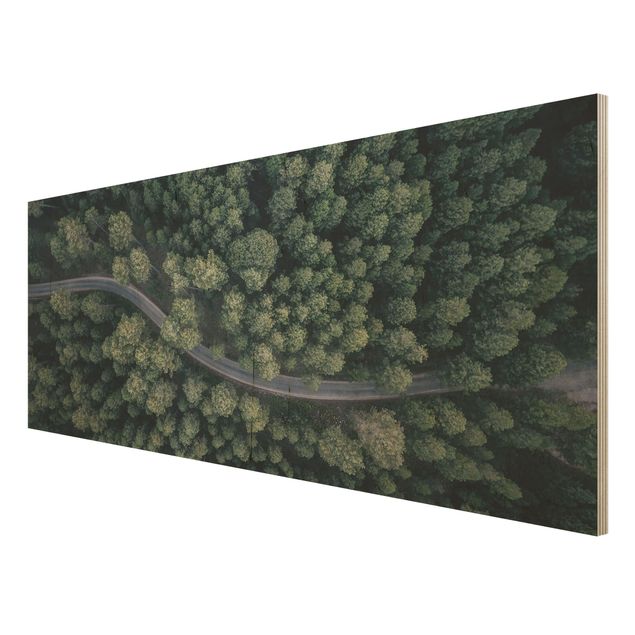Prints Aerial View - Forest Road From The Top