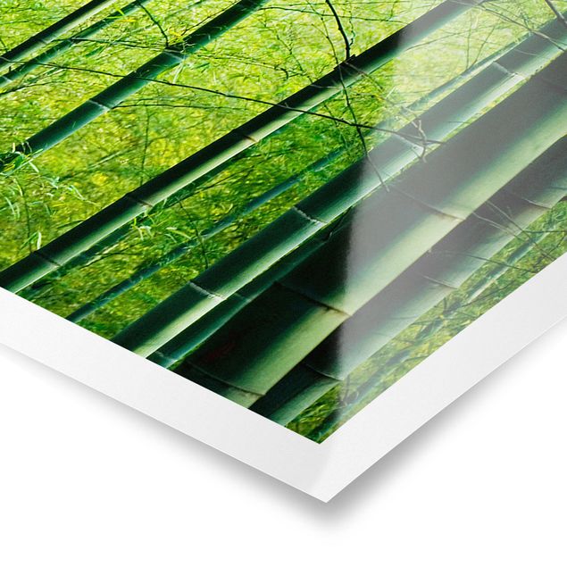 Contemporary art prints Bamboo Forest