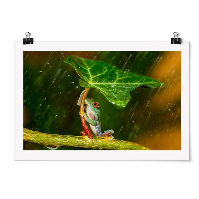 Floral picture Frog In The Rain