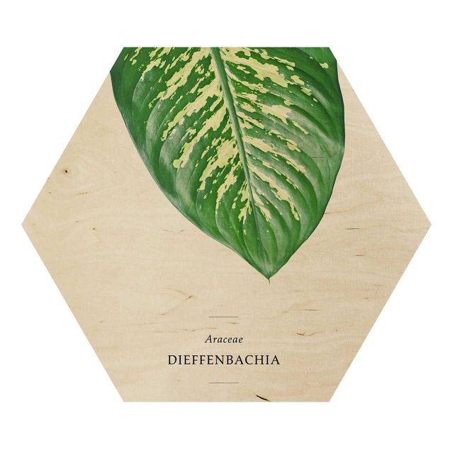 Prints on wood Tropical Leaf Dieffenbachia