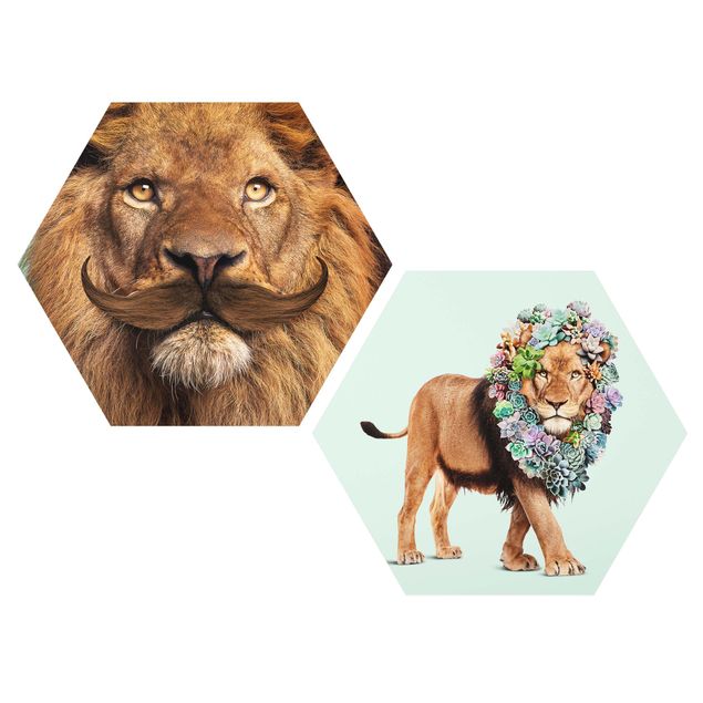 Art posters Lion Beard And Succulents