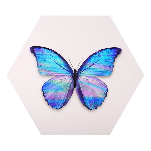Animal canvas Holographic Butterfly