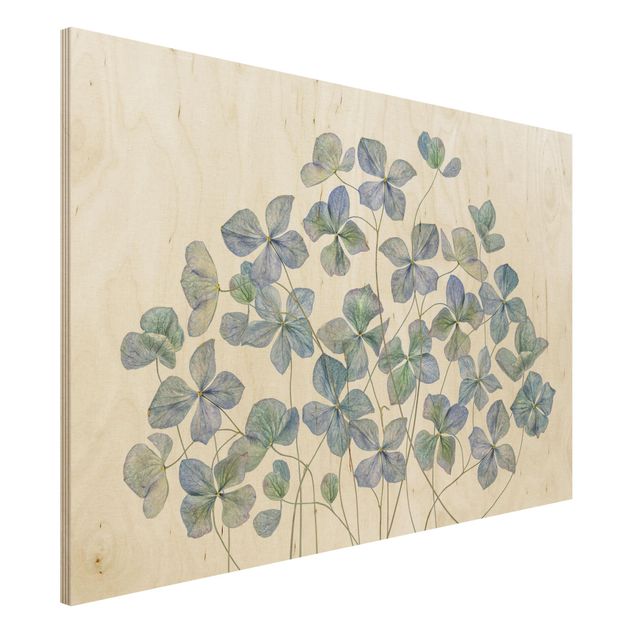 Wood prints flower Blue Hydrangea Flowers