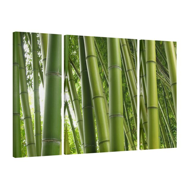 Bamboo framed art Bamboo Trees