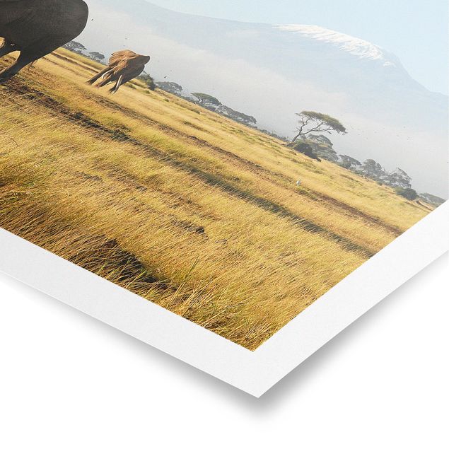 Animal canvas Elephants In Front Of The Kilimanjaro In Kenya