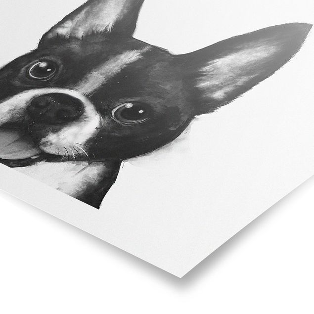 Animal canvas Illustration Dog Boston Black And White Painting