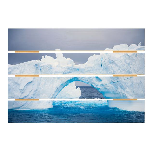 Prints Antarctic Iceberg
