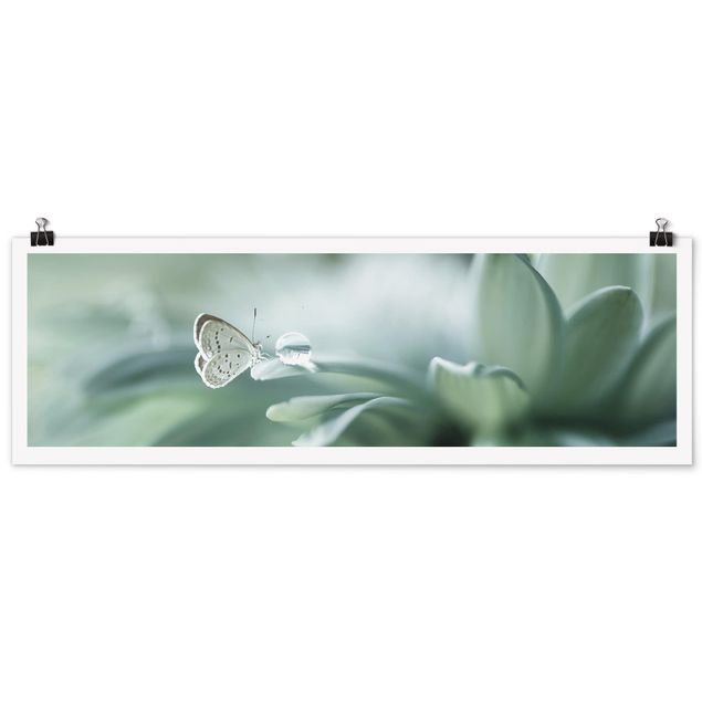 Prints floral Butterfly And Dew Drops In Pastel Green
