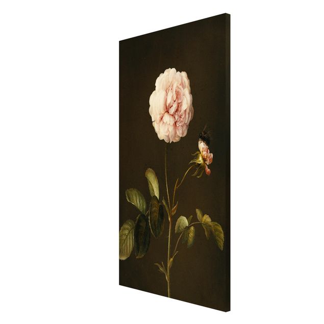 Magnet boards flower Barbara Regina Dietzsch - French Rose With Bumblbee