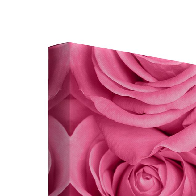 Canvas wall art Pink Roses