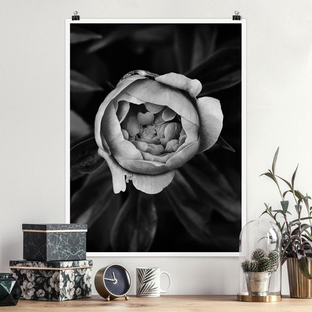 Kitchen Peonies In Front Of Leaves Black And White