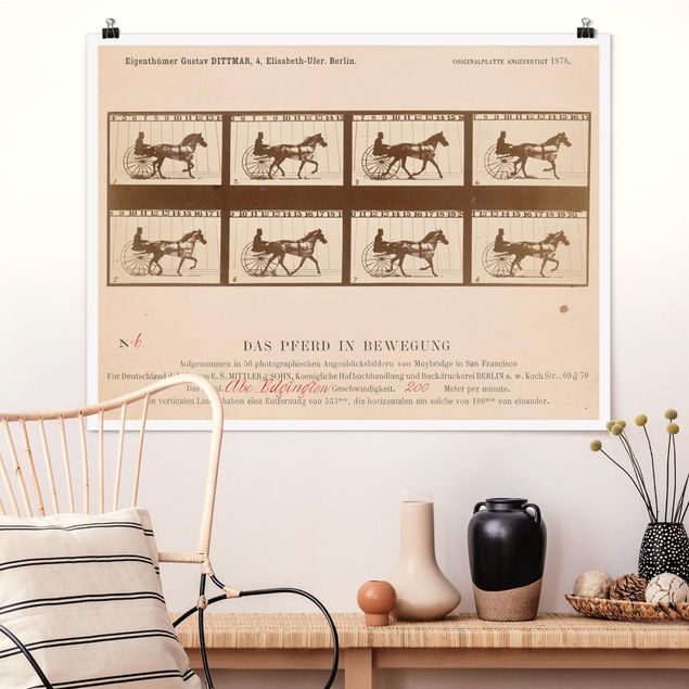 Kitchen Eadweard Muybridge - The horse in Motion