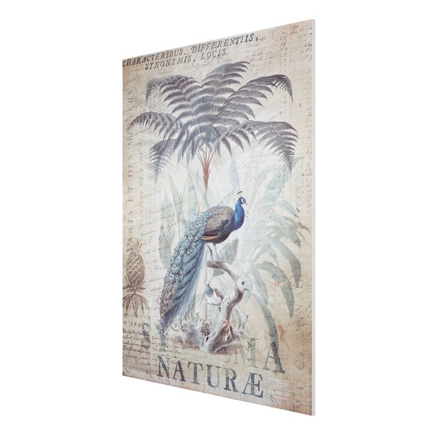 Vintage posters Shabby Chic Collage - Peacock