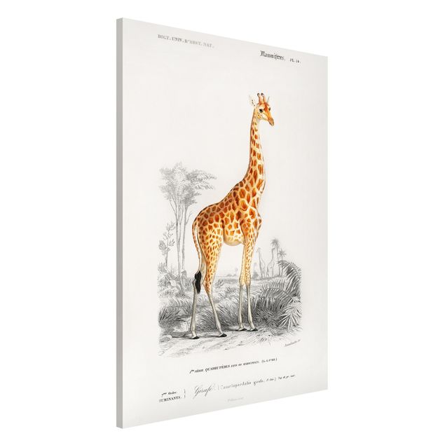 Kitchen Vintage Board Giraffe