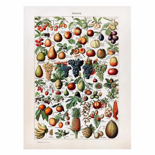 Fruit and vegetable prints Vintage Board Fruits