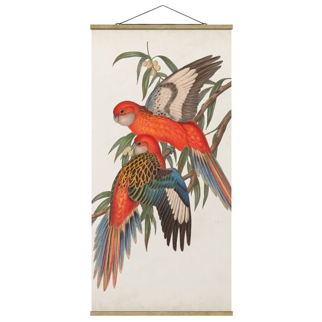 Floral canvas Tropical Parrot I