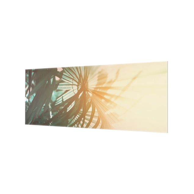 Glass Splashback - Tropical Plants Palm Trees At Sunset - Panoramic