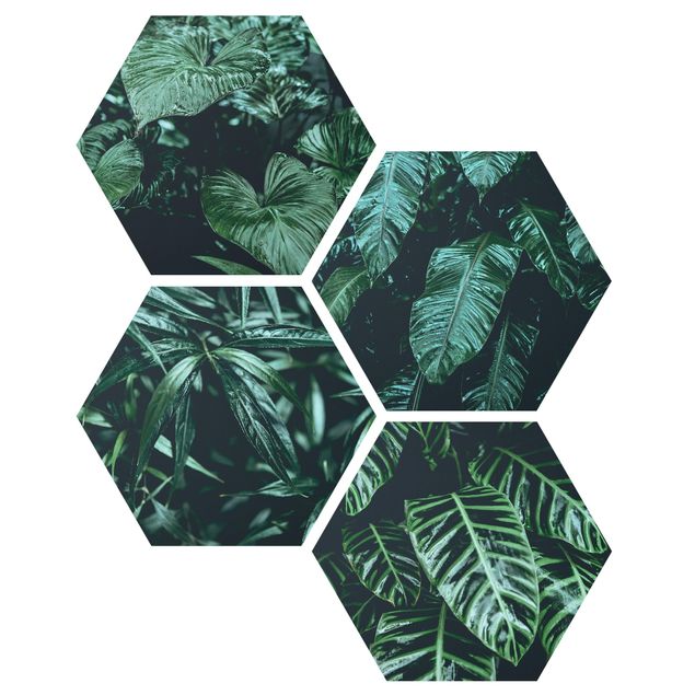 Modern art prints Tropical Plants