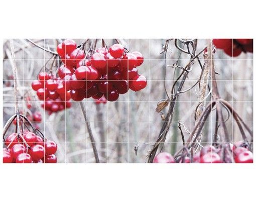 Tile films red No.CA42 forest fruits