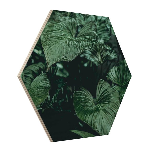 Prints on wood Tropical Plants I