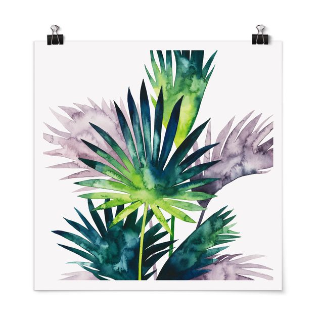 Floral picture Exotic Foliage - Fan Palm