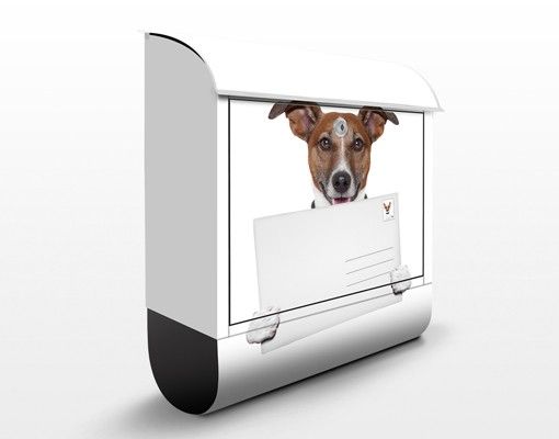 Letterboxes animals Dog With Letter