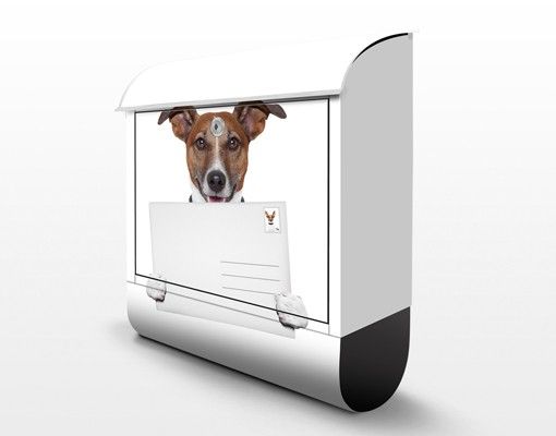 Letterbox - Dog With Letter