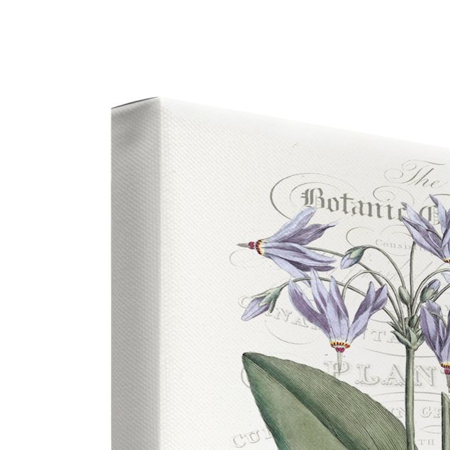 Print on canvas - Botanical Tableau Set I