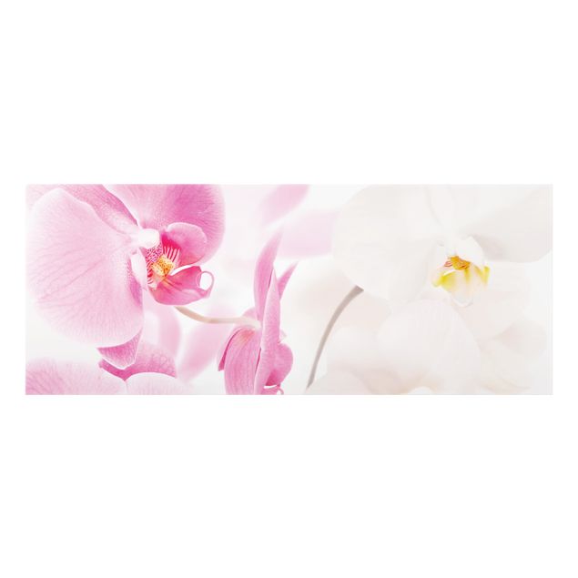 Glass Splashback - Delicate Orchids - Panoramic