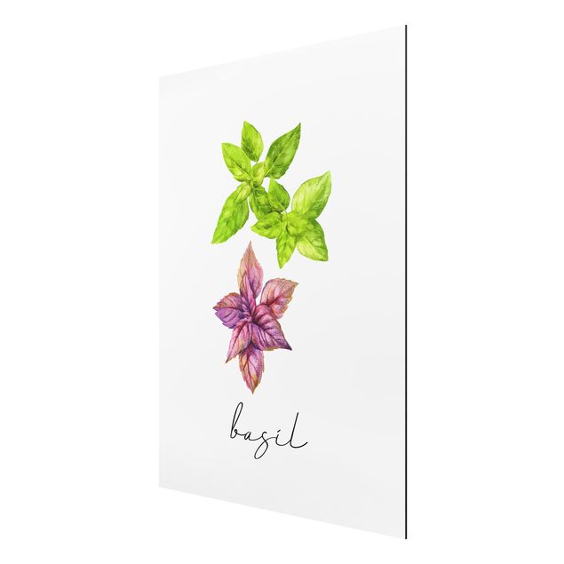 Floral prints Herbs Illustration Basil