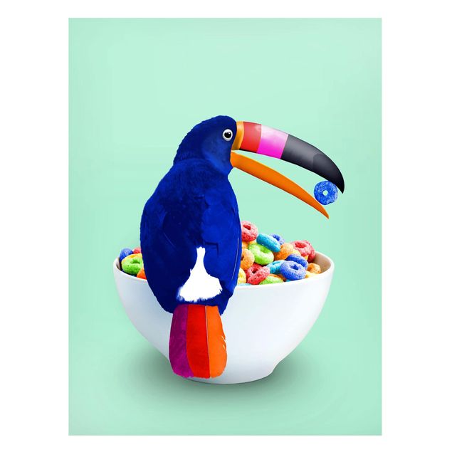 Magnet boards animals Breakfast With Toucan