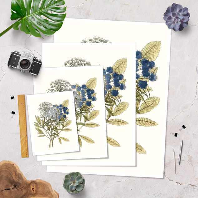 Poster flowers - Wild Herbs Board I