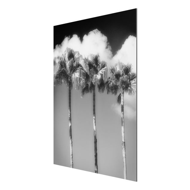 Art posters Palm Trees Against The Sky Black And White