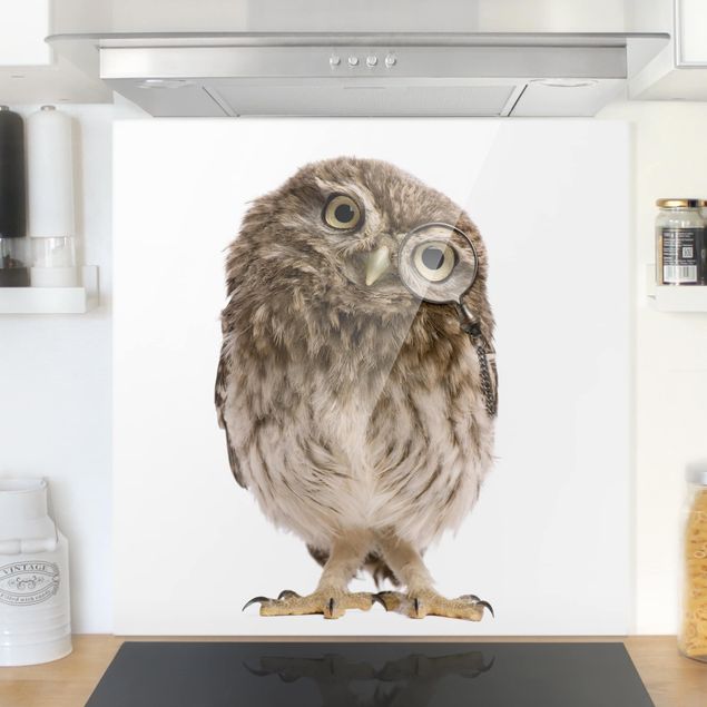 Kitchen Curious Owl