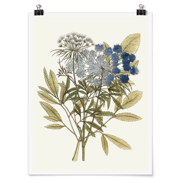 Floral picture Wild Herbs Board I