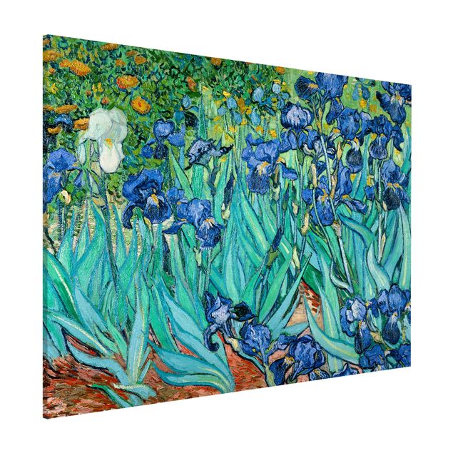 Kitchen Vincent Van Gogh - Iris