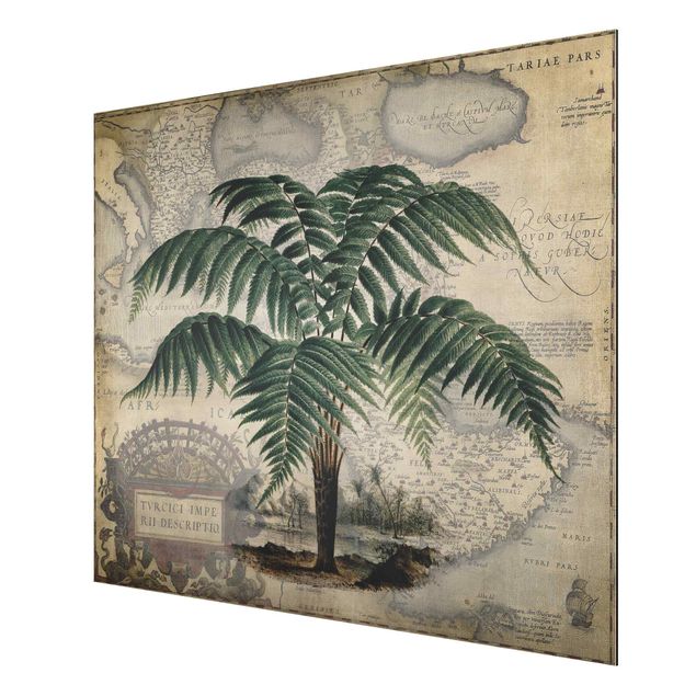Art prints Vintage Collage - Palm And World Map